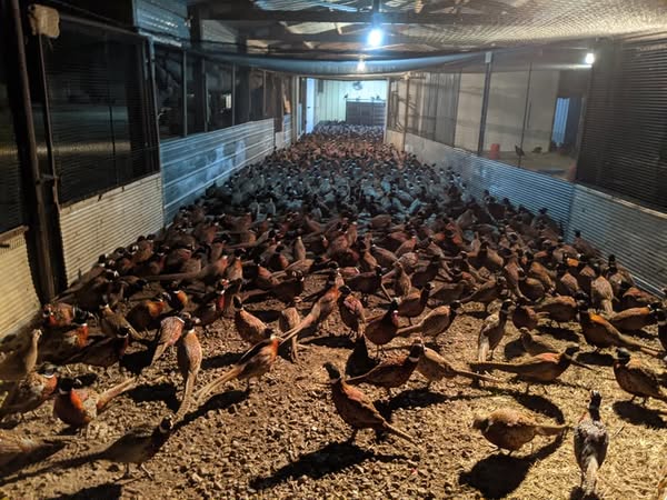 121993555_1577543619095740_7899460488104006671_n