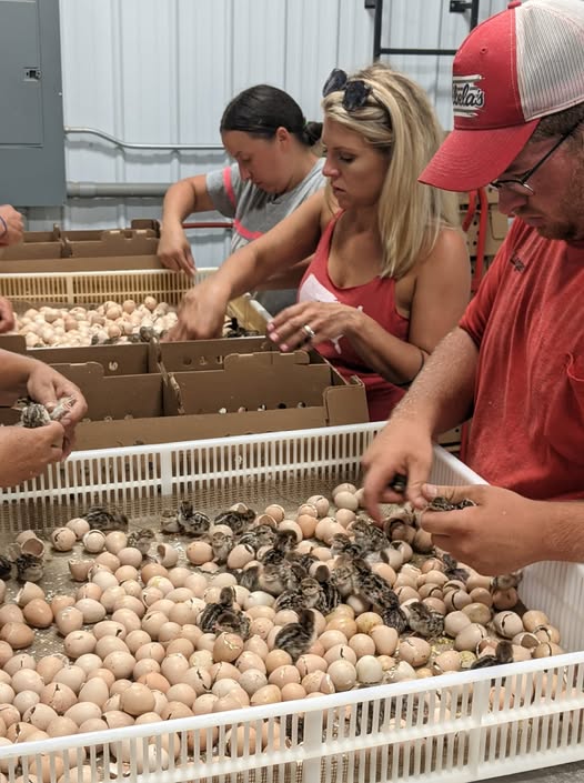 470237262_2744455439071213_4521975107659855415_n