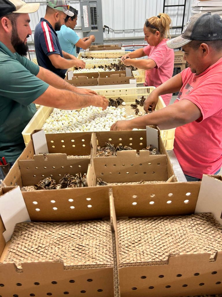 481167154_1037194018444063_6346489676932055945_n (1)