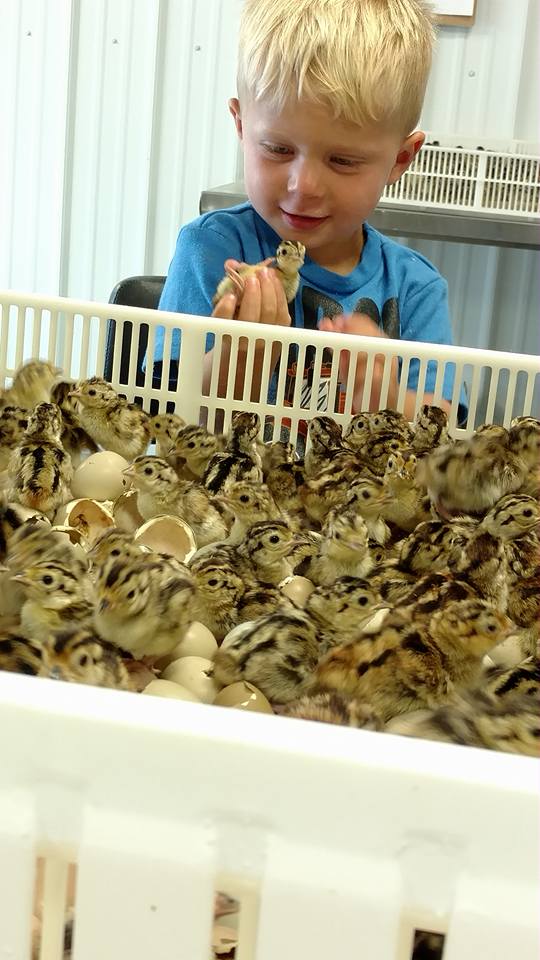 504116755_2907941302722625_4826059953507033300_n