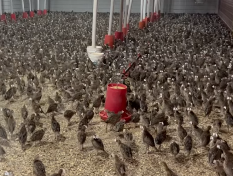 Screenshot 2025-10-13 142920