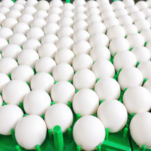 Quail Eggs